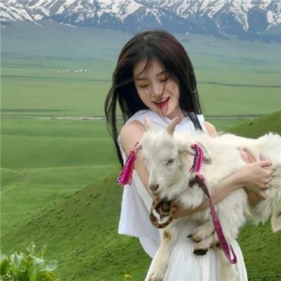 艾米·舒默皮革特辑
